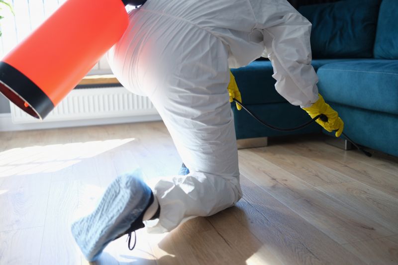 Pest Control detail